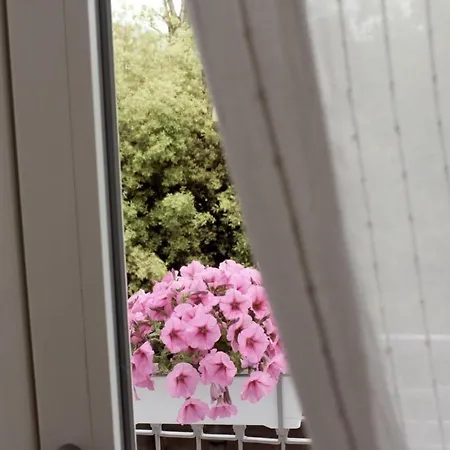 Magma Centotre Apartment Pompei