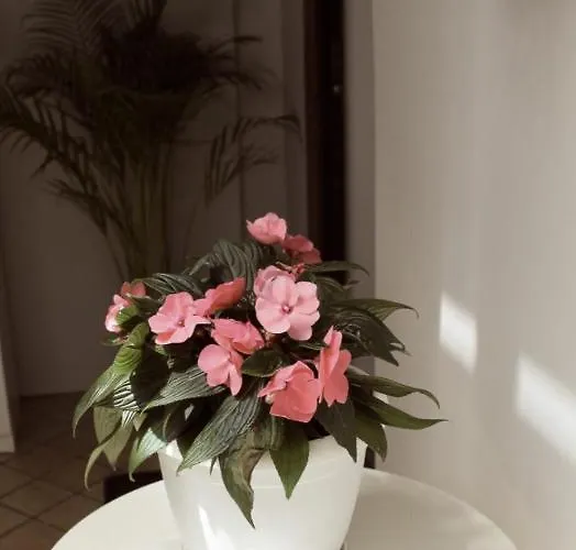 Magma Centotre Appartement